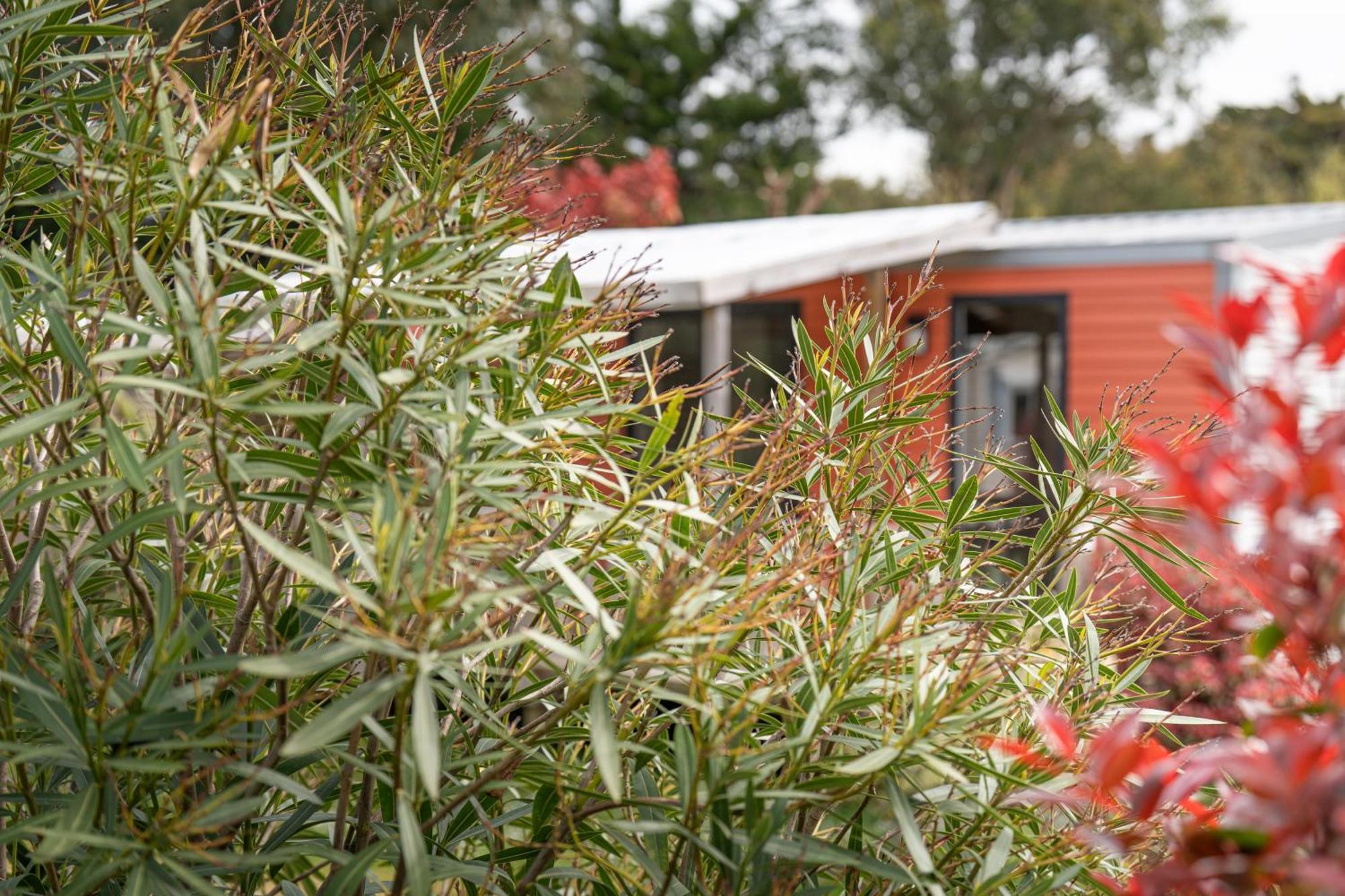 Camping Antioche D'Oléron La Brée-les-Bains Extérieur photo
